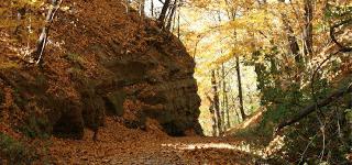 Merom Bluff 3